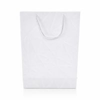 Nivalmix-Sacola-Embalagem-Presente-Grande-Branco-N249202-8-Quanhe-2492028-001-5