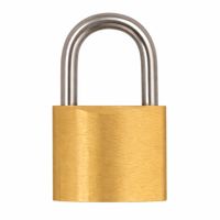 Nivalmix-Cadeado-com-3-Chaves-Lock-Lock-50mm-TRA02022-Wincy-2517248-1