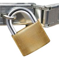 Nivalmix-Cadeado-com-3-Chaves-Lock-Lock-50mm-TRA02022-Wincy-2517248-2