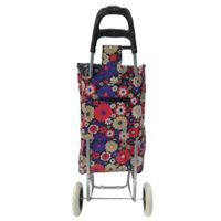 Nivalmix-Carrinho-de-Feira-Multiuso-95-x-45cm-Mod19-Flores-Quanhe-2345180-019-2
