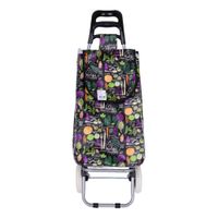 Nivalmix-Carrinho-de-Feira-Multiuso-95-x-45cm-Mod20-Legumes-Quanhe-2345180-020-1