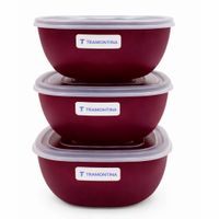 Nivalmix-Conjunto-de-Potes-Mixcolor-3Pcs-300ml-25098701-Tramontina-2519523-3