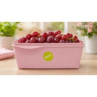 Nivalmix-Organizador-Multiuso-Retangular-1,5-Litros-01-Rosa-Top-Line-2126585-001